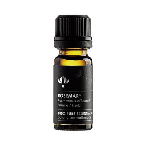 Essential Oil - Rosemary Oil (Rosmarinus Officinalis)